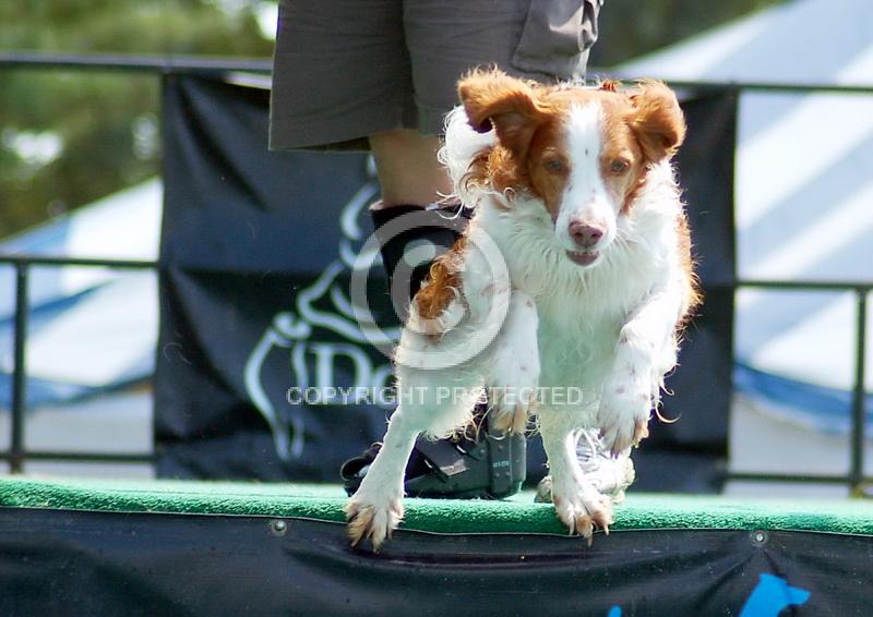 Contest = Bureau County Fair - Result = 1st Place - Motion